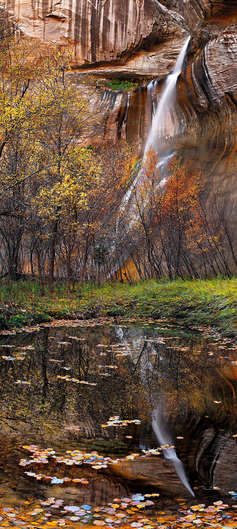 Fall, Reflect, Release — Loose Print