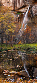 Fall, Reflect, Release — Metal