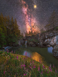 Cosmic Bloom — Loose Print