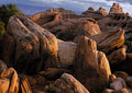 Sandstone Sanctuary — Loose Print