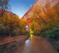 Southwest Passage — Metal